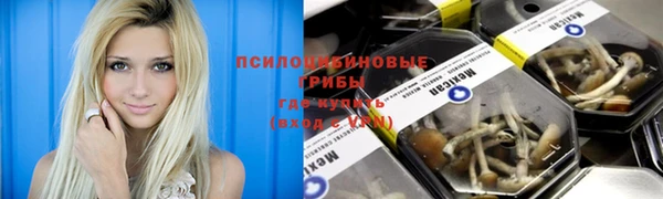 скорость Дмитриев