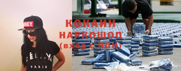 тгк Новодвинск