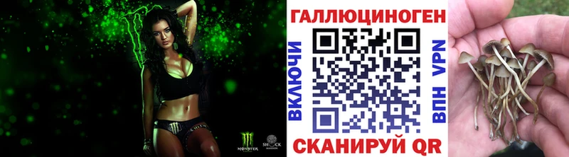 Купить закладки  Касли  Галлюциногенные грибы Cubensis 